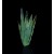 Aragonite (fluorescent) Eugui M05122
